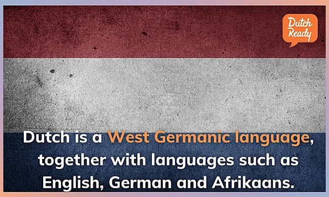 Is Dutch similar to English? Learn more about the Dutch language