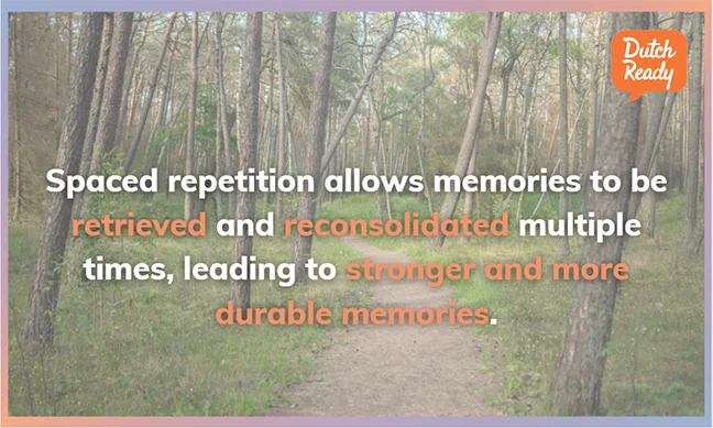 Using spaced repetition to make strong memories and learn Dutch quickly