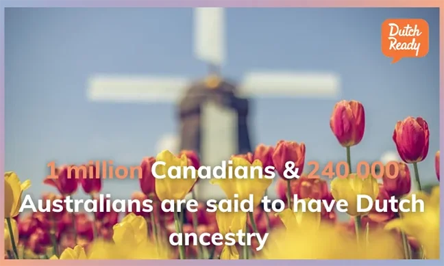 Dutch ancestry in Canada and Australia. Learning Dutch language and cultures