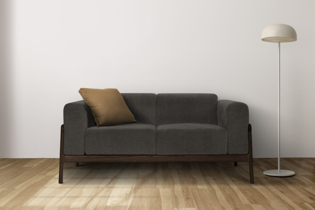 Contemporary couch